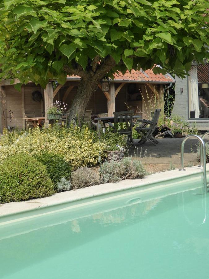 Bed and Breakfast De Epicurist Hasselt Esterno foto